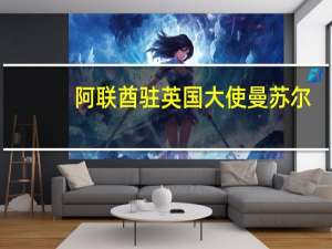 阿联酋驻英国大使曼苏尔：阿联酋对减少碳排放的阶段性目标有“清晰的认识”
