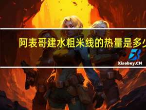 阿表哥 建水粗米线的热量是多少