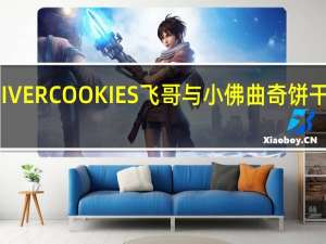 阿路易 DIVERCOOKIES飞哥与小佛曲奇饼干的热量是多少
