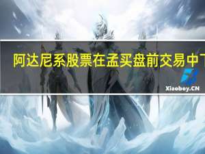 阿达尼系股票在孟买盘前交易中下跌