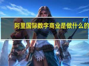阿里国际数字商业是做什么的