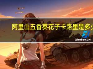 阿里山 五香葵花子卡路里是多少