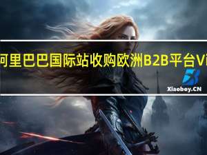阿里巴巴国际站收购欧洲B2B平台Visable