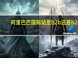 阿里巴巴国际站是b2b还是b2c