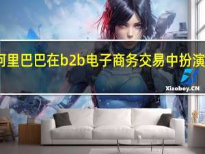 阿里巴巴在b2b电子商务交易中扮演的角色