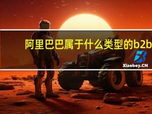 阿里巴巴属于什么类型的b2b