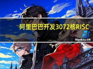 阿里巴巴开发3072核RISC-V云服务器神威推出强大的390核RISC超级计算机CPU