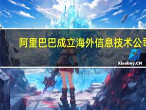 阿里巴巴成立海外信息技术公司