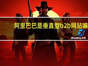 阿里巴巴是垂直型b2b网站嘛