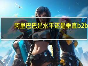 阿里巴巴是水平还是垂直b2b