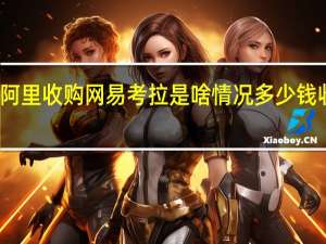 阿里收购网易考拉是啥情况多少钱收购的