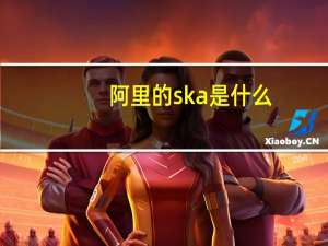 阿里的ska是什么（阿里ska商家是什么意思）
