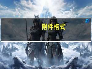 附件格式
