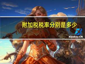 附加税税率分别是多少