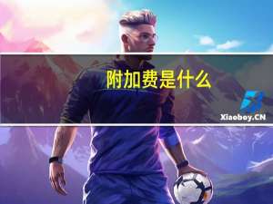 附加费是什么