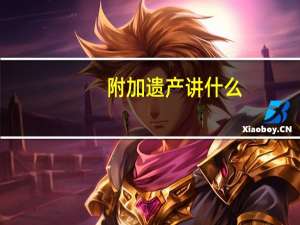 附加遗产讲什么