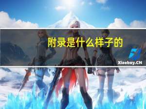 附录是什么样子的（附录是什么）