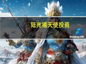 陆兆禧天使投资（陆兆禧被解雇）