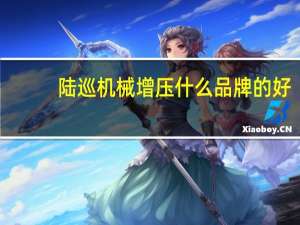 陆巡机械增压什么品牌的好（陆巡机械增压）