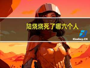 陆烧烧死了哪六个人（陆烧）