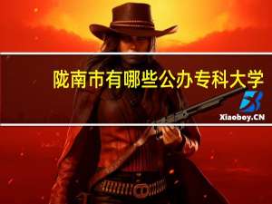 陇南市有哪些公办专科大学