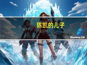 陈凯的儿子