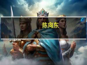 陈向东（关于陈向东的介绍）