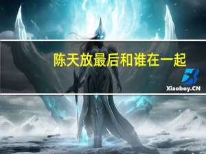 陈天放最后和谁在一起