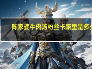 陈家婆 牛肉汤粉丝卡路里是多少