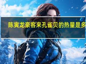 陈寅龙 豪客来孔雀贝的热量是多少