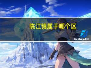 陈江镇 属于哪个区