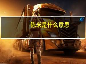 陈米是什么意思