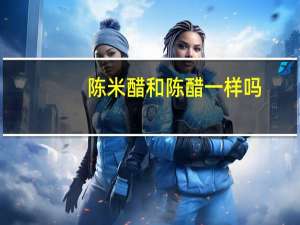 陈米醋和陈醋一样吗