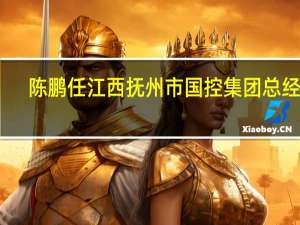 陈鹏任江西抚州市国控集团总经理