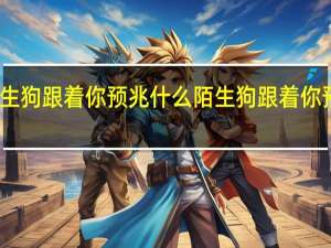 陌生狗跟着你预兆什么 陌生狗跟着你预兆什么