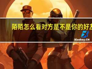 陌陌怎么看对方是不是你的好友