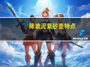 降坡泥紫砂壶特点