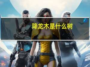 降龙木是什么树