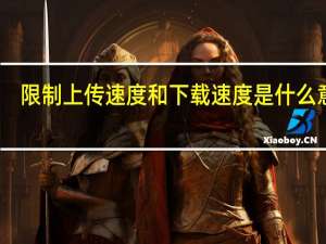 限制上传速度和下载速度是什么意思（上传速度和下载速度是什么意思）