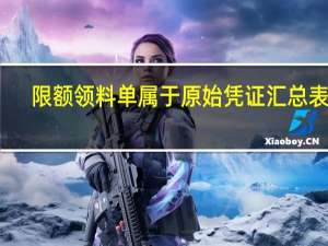 限额领料单属于原始凭证汇总表吗