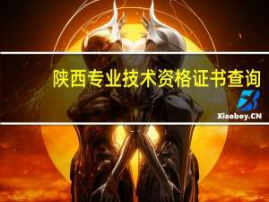 陕西专业技术资格证书查询