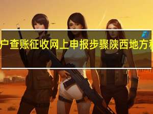 陕西个体户查账征收网上申报步骤 陕西地方税务局网上申报