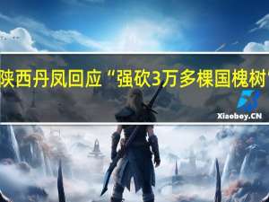陕西丹凤回应“强砍3万多棵国槐树”事件：属违规占用永久基本农田