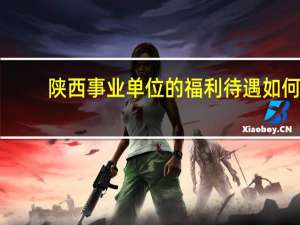 陕西事业单位的福利待遇如何