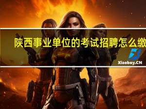 陕西事业单位的考试招聘怎么缴费