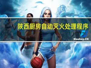 陕西厨房自动灭火处理程序