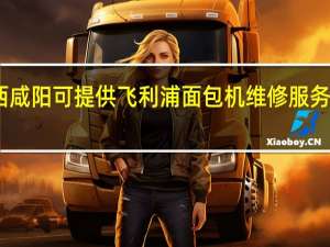 陕西咸阳可提供飞利浦面包机维修服务地址在哪