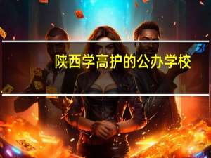 陕西学高护的公办学校