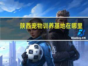 陕西宠物训养基地在哪里