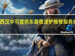 陕西汉中可提供东菱微波炉维修服务地址在哪